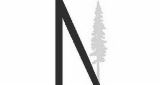 N logo