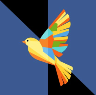 N logo