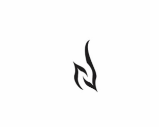 N logo