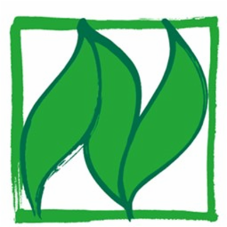 N logo
