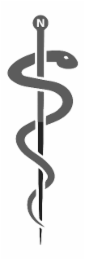 N logo