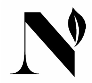 N logo