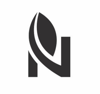 N logo