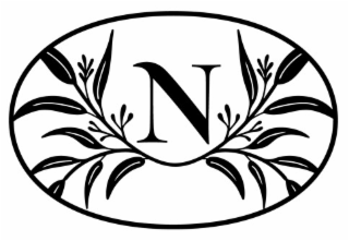 N logo