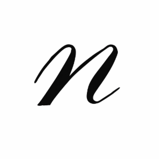 N logo