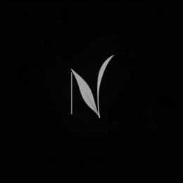 N logo
