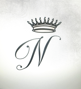 N logo