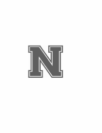 N logo