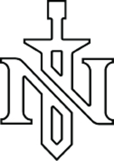 N logo