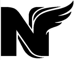 N logo