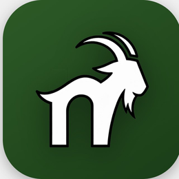 N logo