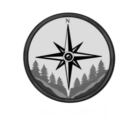 N logo