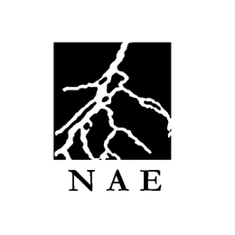 N A E logo