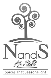 N AND S NO SALT SPICES THAT SEASON RIGHT logo