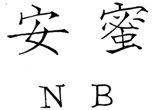 N B logo