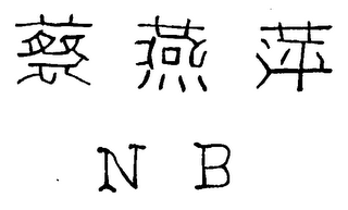 N B logo