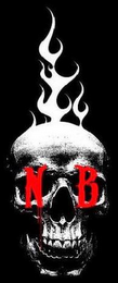 N B logo