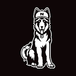 N B logo