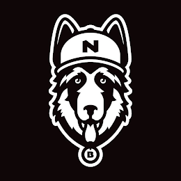 N B logo