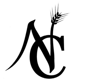 N C logo