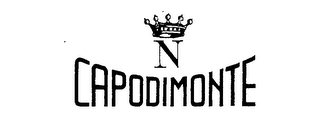 N CAPODIMONTE logo