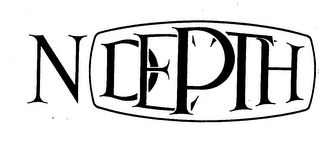 N DEPTH logo