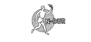 N-DUR logo