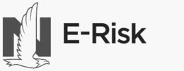N E-RISK logo