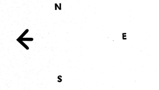 N E S logo
