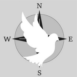 N E S W logo
