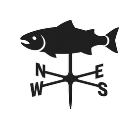 N E W S logo