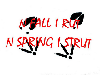 N FALL I RUT N SPRING I STRUT RUT N STRUT logo