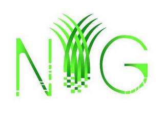 N G logo