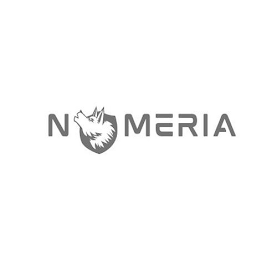 N MERIA logo