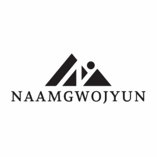 N NAAMGWOJYUN logo