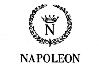 N NAPOLEON logo