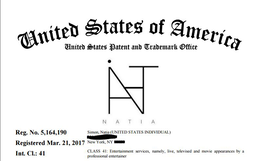 N NATIA logo