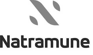 N NATRAMUNE logo