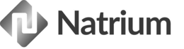N NATRIUM logo