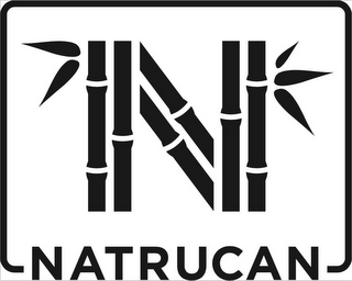 N NATRUCAN logo
