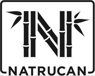 N NATRUCAN logo