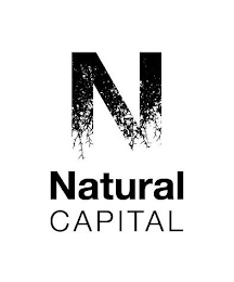 N NATURAL CAPITAL logo