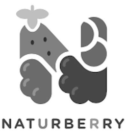 N NATURBERRY logo
