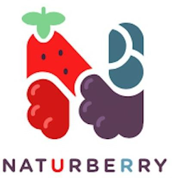 N NATURBERRY logo