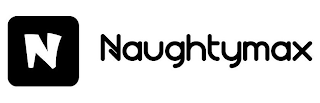 N NAUGHTYMAX logo