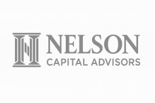 N NELSON CAPITAL ADVISORS logo