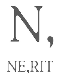 N, NE,RIT logo