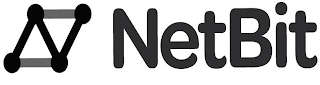 N NETBIT logo