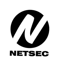 N NETSEC logo
