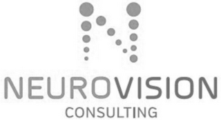 N NEUROVISION CONSULTING logo